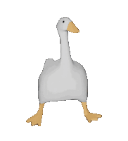 goose